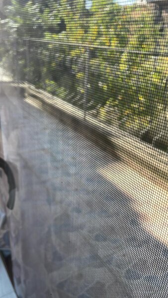 Colentina, Fundeni, Doinei